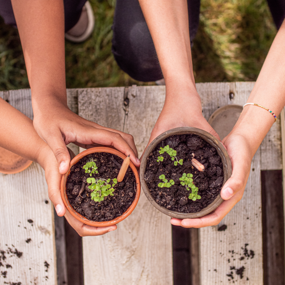 Crayons de Sproutworld – Image 3