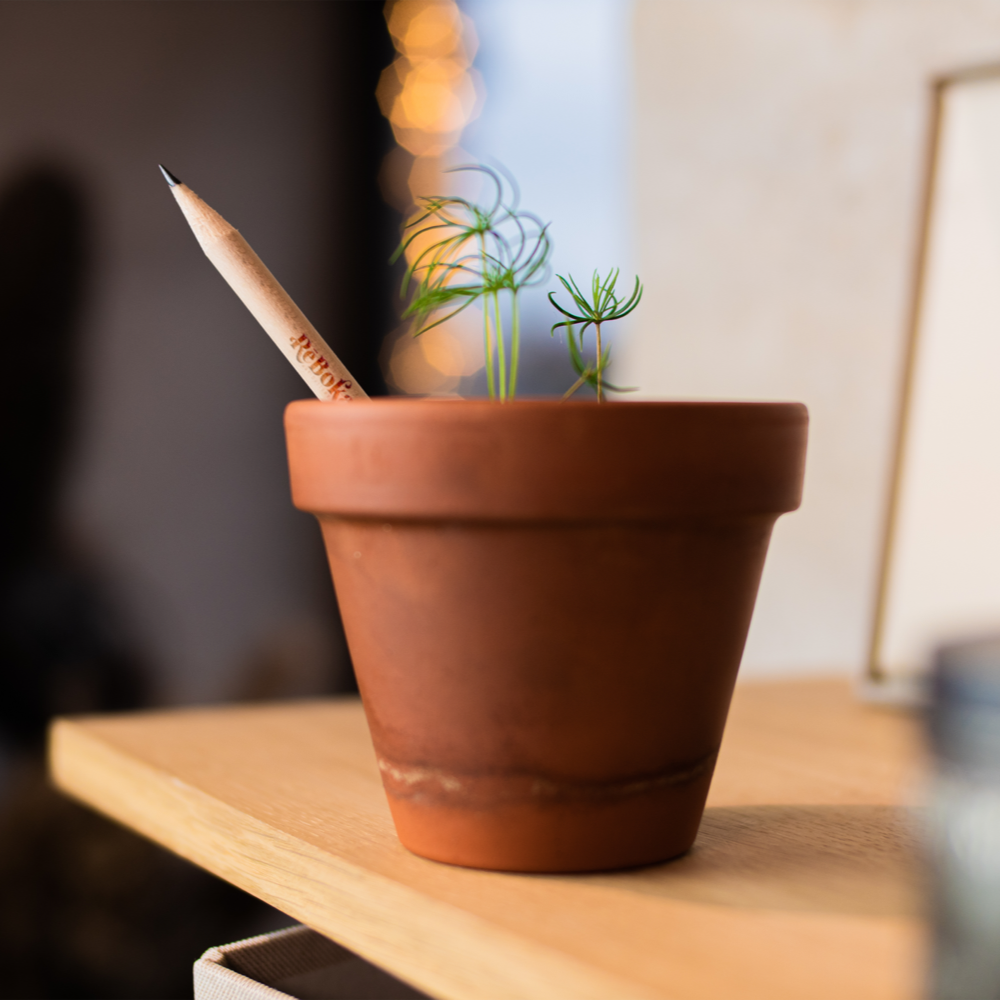 Crayons de Sproutworld – Image 5