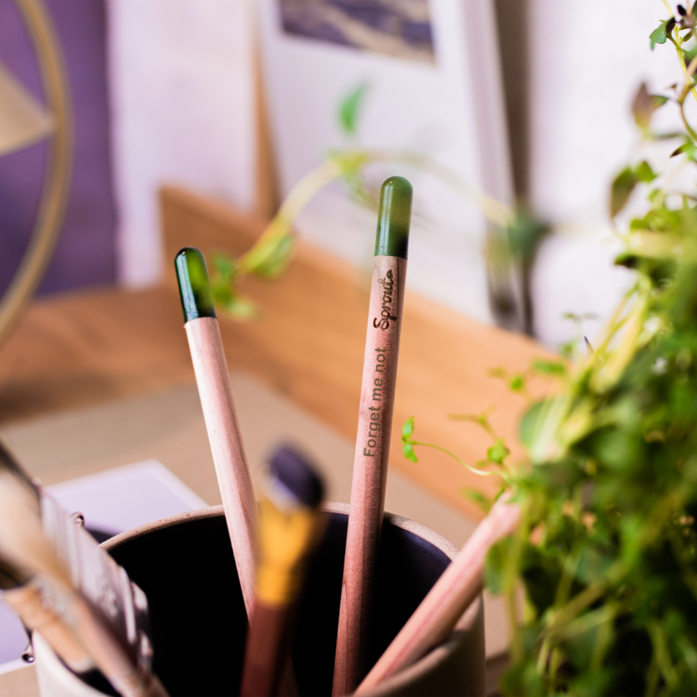 Crayons de Sproutworld – Image 6