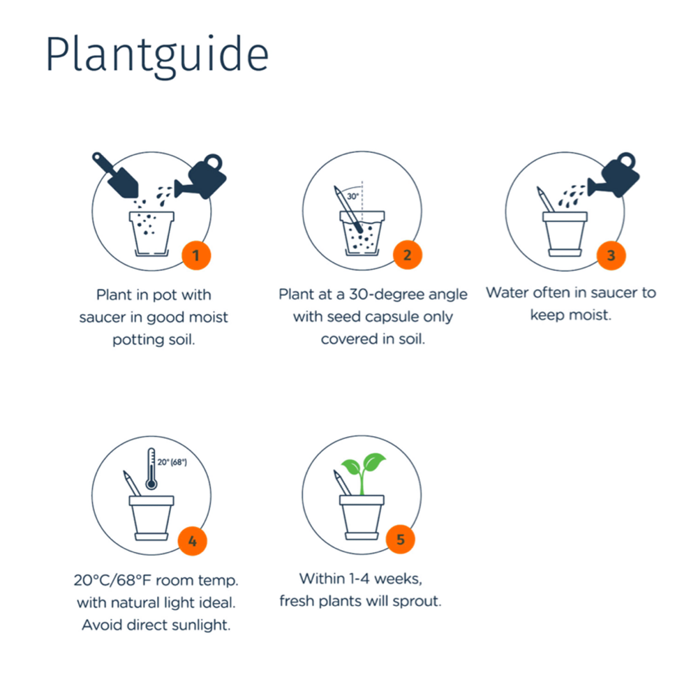 Crayons de Sproutworld – Image 4