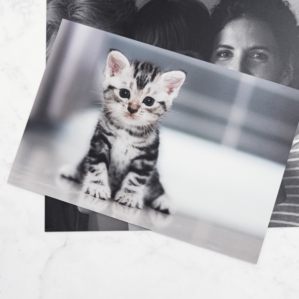 Photos sur aluminium – Image 2