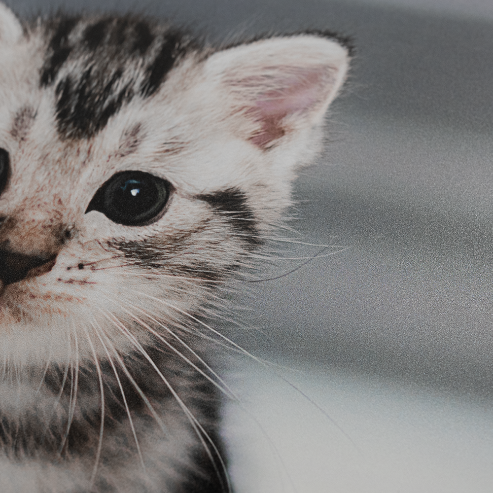 Photos sur aluminium – Image 7