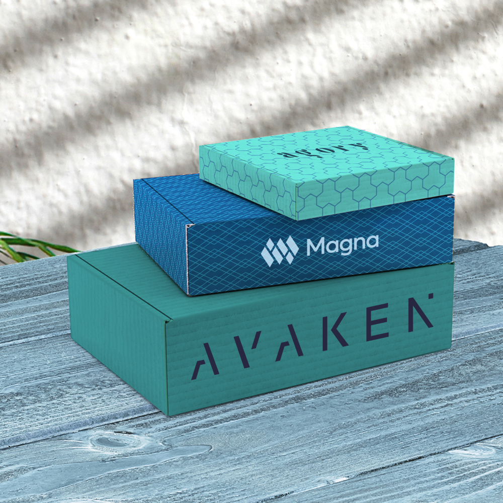 Boîtes d'expédition à rabat – Image 7