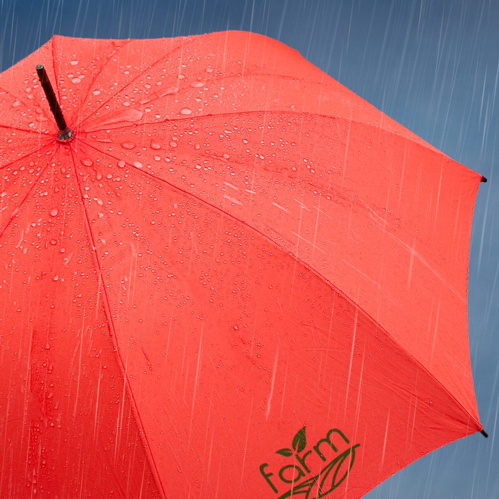 Parapluie poignée courbée – Image 5