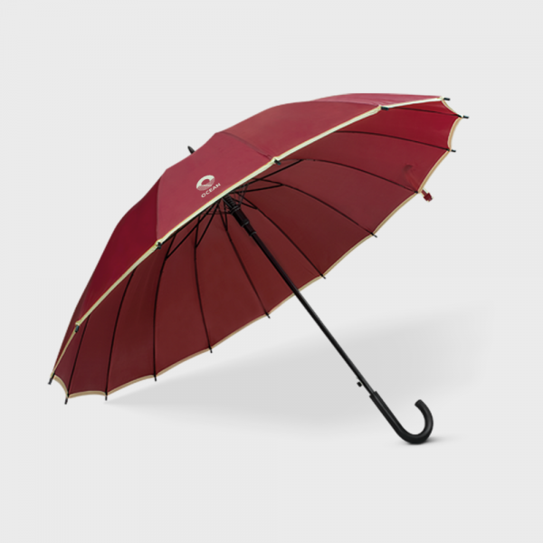 Parapluie en bois avec 16 baleines