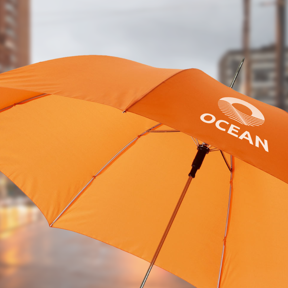 Parapluie Lisa à ouverture automatique – Image 3