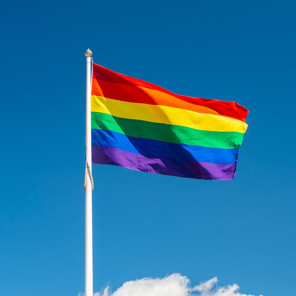 Drapeau LGBTQIA+ – Image 2