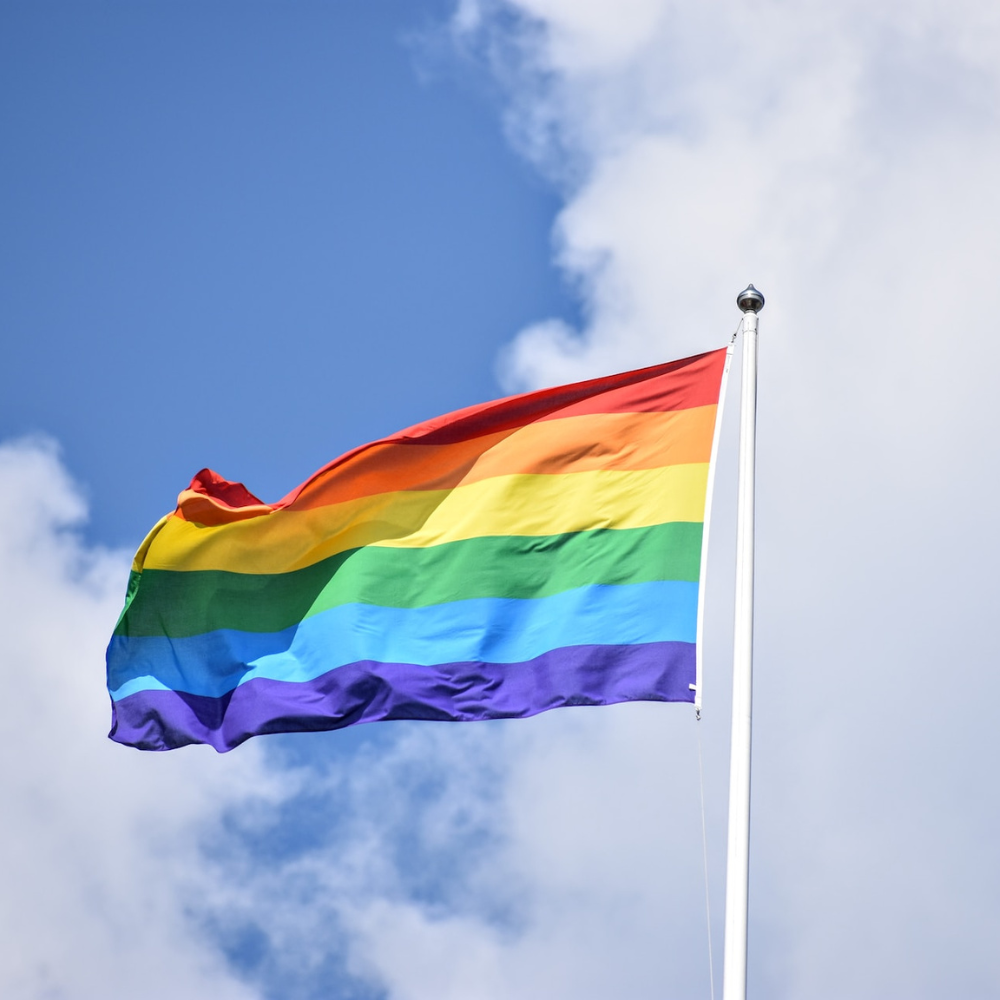 Drapeau LGBTQIA+ – Image 3