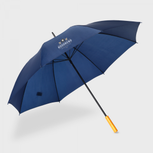 Parapluie BlueStorm RCS
