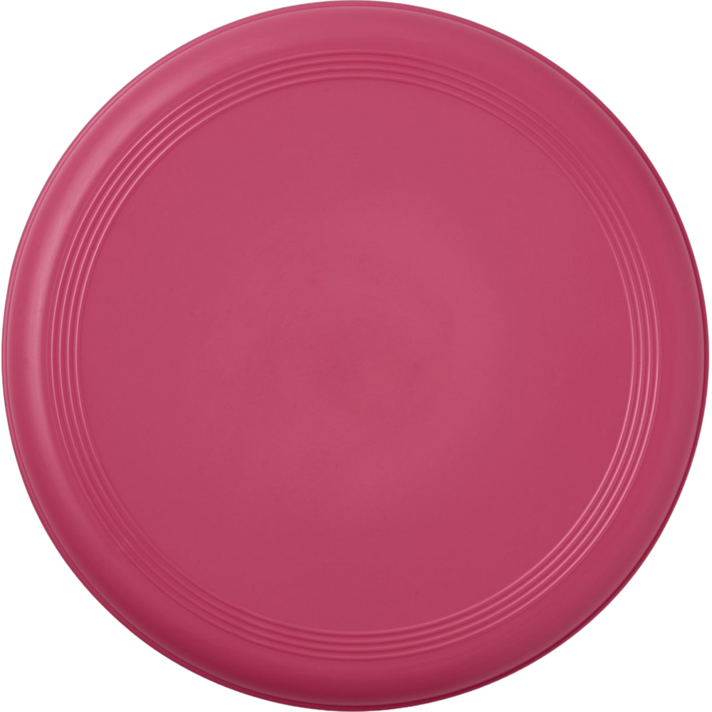 Frisbee Fun Recyclé – Image 10