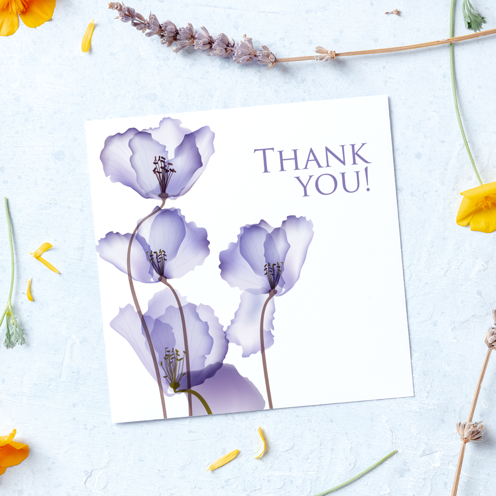 Cartes postales – Image 4