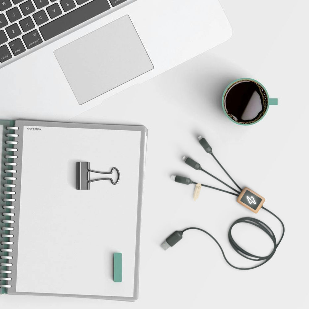 Câble 3-en-1 en PET recyclé et bambou – Image 3